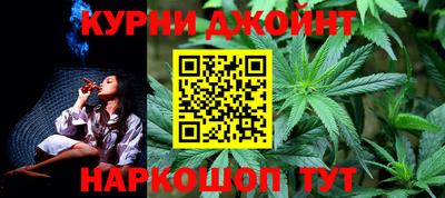 мдпв Бердск