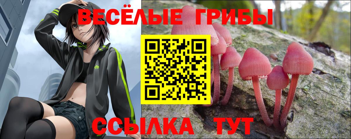Галлюциногенные грибы мицелий Владивосток