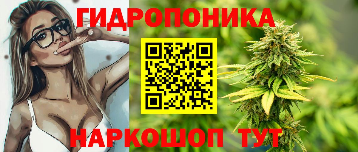 Бошки марихуана семена  МАРИХУАНА семена  Владивосток  Вход с VPN  МАРИХУАНА тримм 